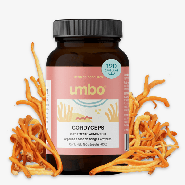Umbo, Cordyceps 60 g (120 cápsulas)
