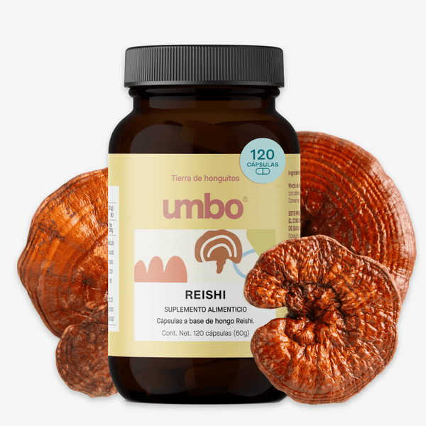 Umbo, Reishi 60 g (120 cápsulas)